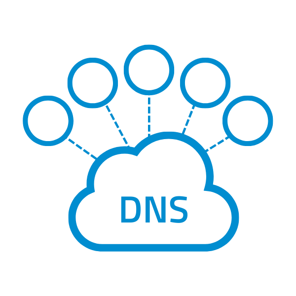 DNS-protection